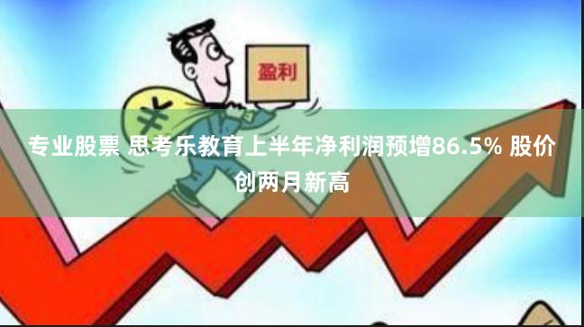 专业股票 思考乐教育上半年净利润预增86.5% 股价创两月新高